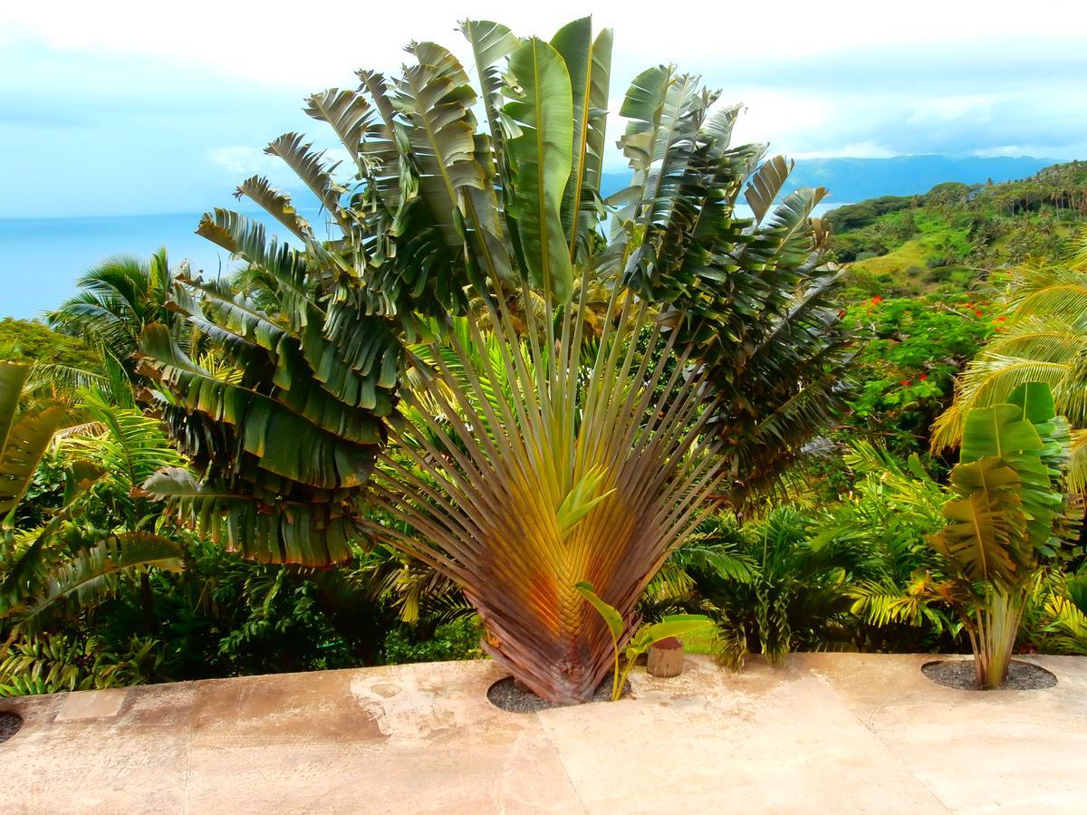 Korovesi Sunshine Villas Savusavu Dış mekan fotoğraf